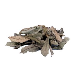 Guava leaves 125gm