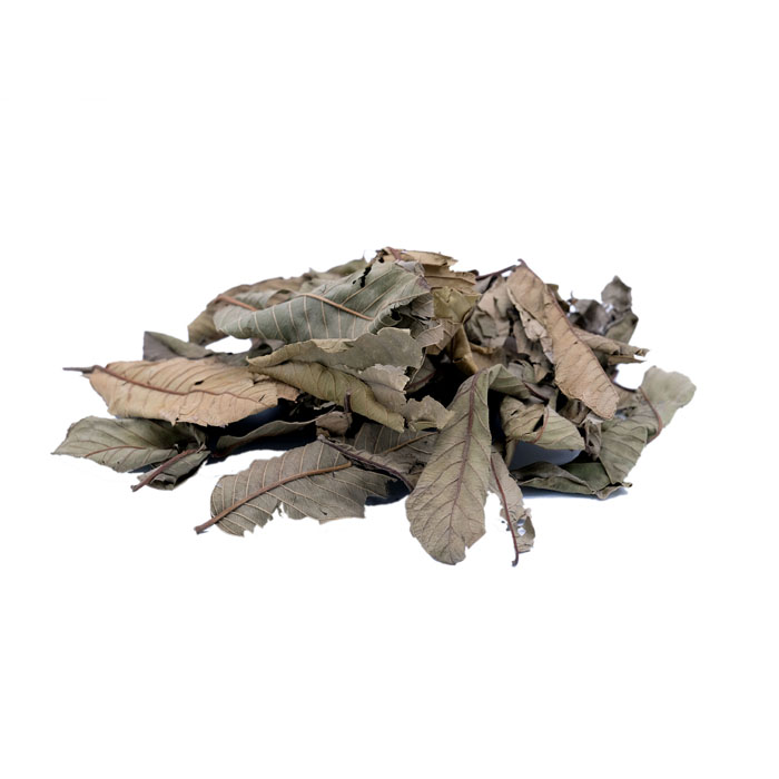 10221ورق الجوافة ورق الجوافة 125 جم - الصورة 1