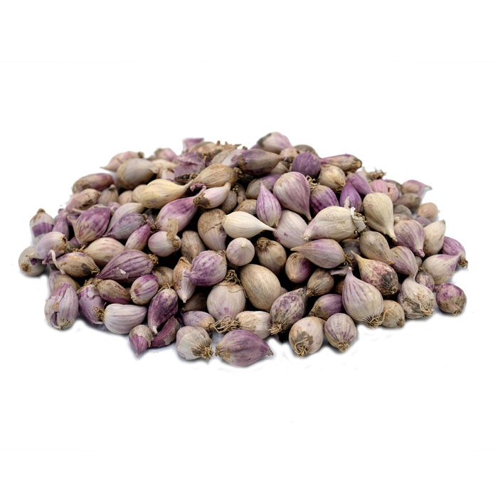 10294ثوم ذكر ثوم ذكر يمني 250 جرام - الصورة 1